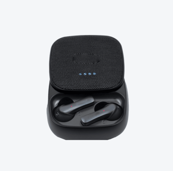 Case Airpods